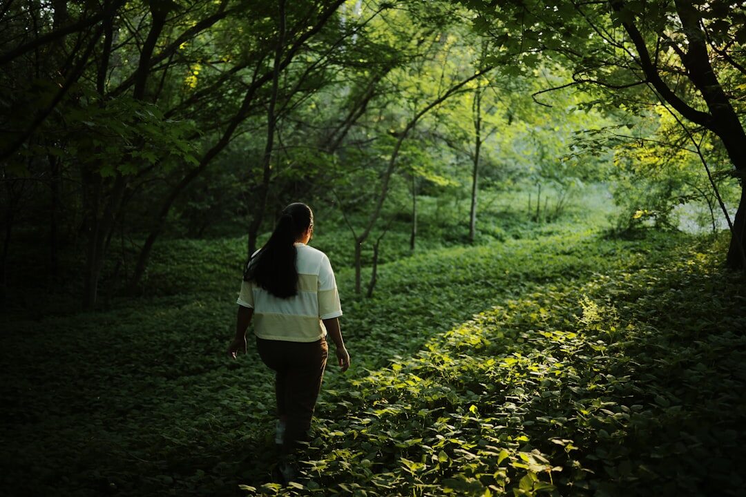 Person walking peacefully on a nature trail at sunrise